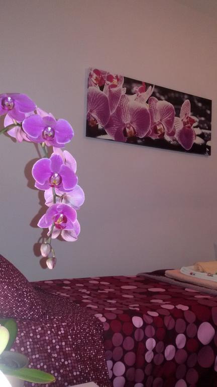 B&B Interno 8 Rome Room photo